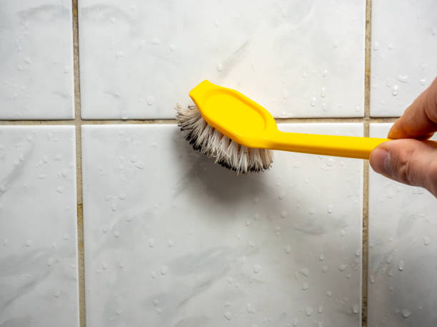 Best Home Mold Removal  in Summit Hill, PA