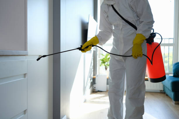Mold Removal Process in Summit Hill, PA