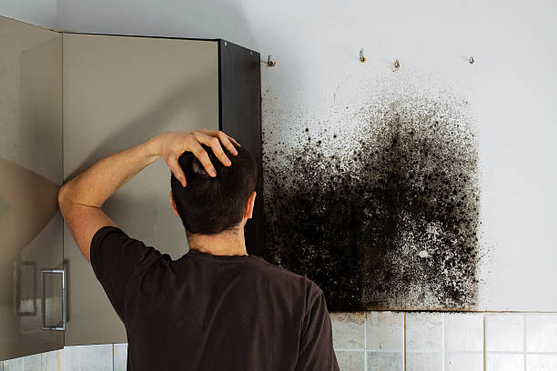 Best Crawl Space Mold Removal  in Summit Hill, PA
